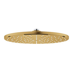 Rainshower Mono 310 12" Showerhead - Showerhead Parts