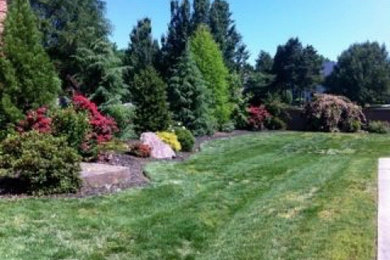 LANDSCAPE - NC Charlotte Landscape Project