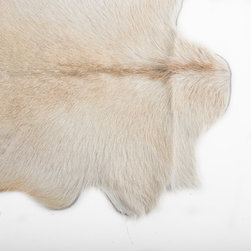 Square Rugs - Area Rugs