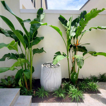 Courtyard Garden II