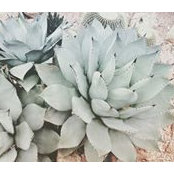 Elena Prins's photo