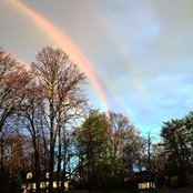 Teri Abramsky's photo