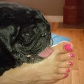 Gretchen Yont's photo