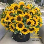 Melody Coyle's photo