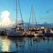 Julie Carrico's photo