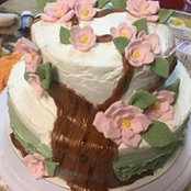 Teri Coover's photo