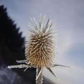 Ibrahim Ersoy's photo