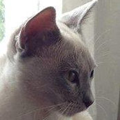 Phillipa Guthrey's photo