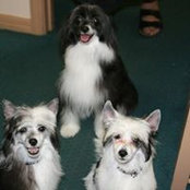 Pamela Smith's photo