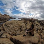 Teh Chin's photo