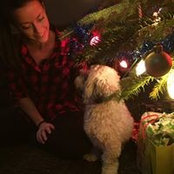 Catherine Kubis's photo