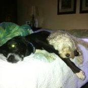 Paula Miller's photo