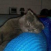 Kara Gleadell's photo