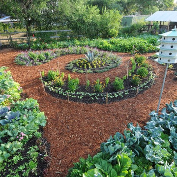 Miami Landscape Design Ideas