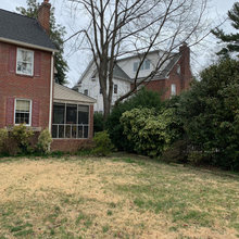 Exterior & Windows
