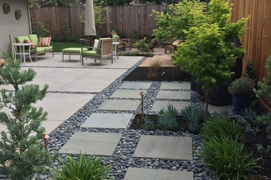 Design ideas for a transitional landscaping in San Francisco.