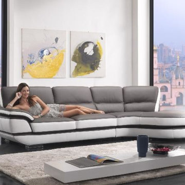 Sectional Sofa & Sofa Set