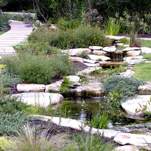 pond