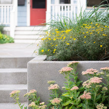 Gardening Landscaping