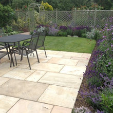 Dividing Trellis
