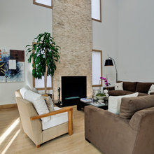 fireplace firebox