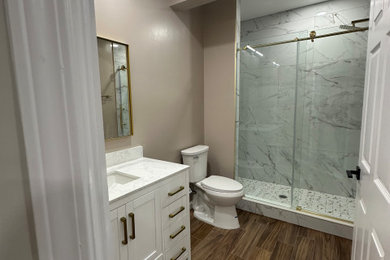 Inspiration for a bathroom remodel in DC Metro
