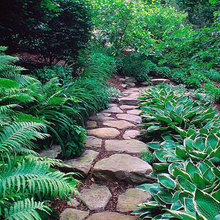 Landscape Ideas
