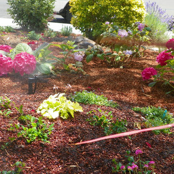 Landscape Projects