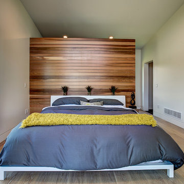 Daffodil - Mid Century
