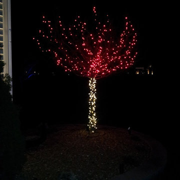Holiday Lighting