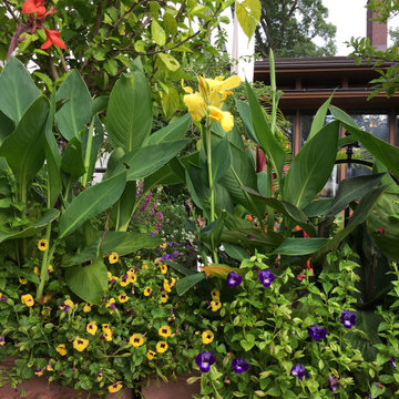 Summer Pots