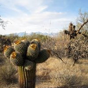 Michael Pouncil's photo