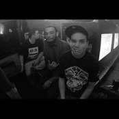 Michael Bird's photo