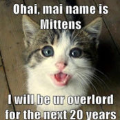 Frank Spasaro's photo