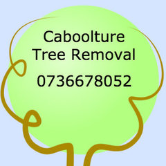 Caboolture Tree Removal Bracken Ridge