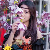 Anh Vaanさんの写真