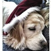 Jenny Engelman Emery's photo
