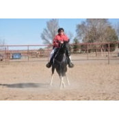 Barbara Ferber's photo