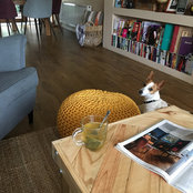 Foto von Martina Vyskup