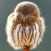 Tom Corker's photo