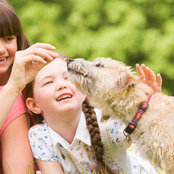 Springbrook Animal Care Centers foto