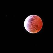 Tzu Cheng's photo