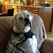 Katie Layman's photo
