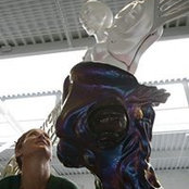 Michelle Lach's photo