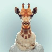 Michaela Wurzer's photo