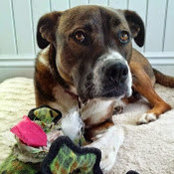 lauren tabak's photo