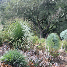 Gardens & Landscape Ideas
