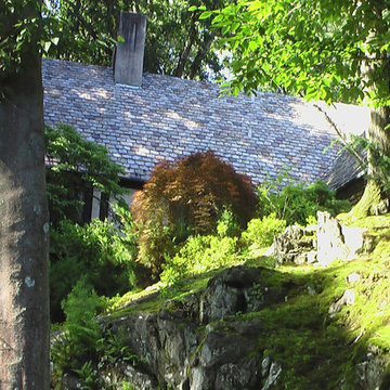 NY Rock Outcrop Moss Gardens