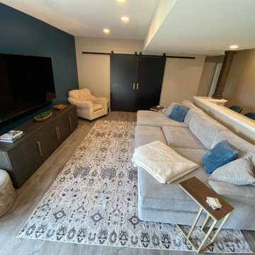 Basement Remodel