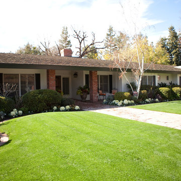 Mid-Century Renovation